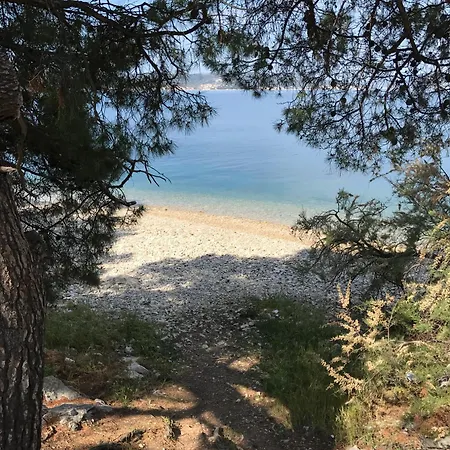 In Park Forest Marjan * Split