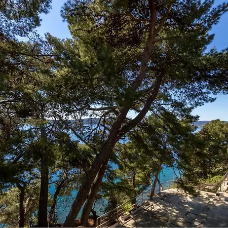Lejlighed In Park Forest Marjan
