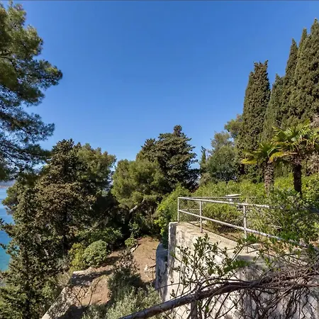 In Park Forest Marjan Split